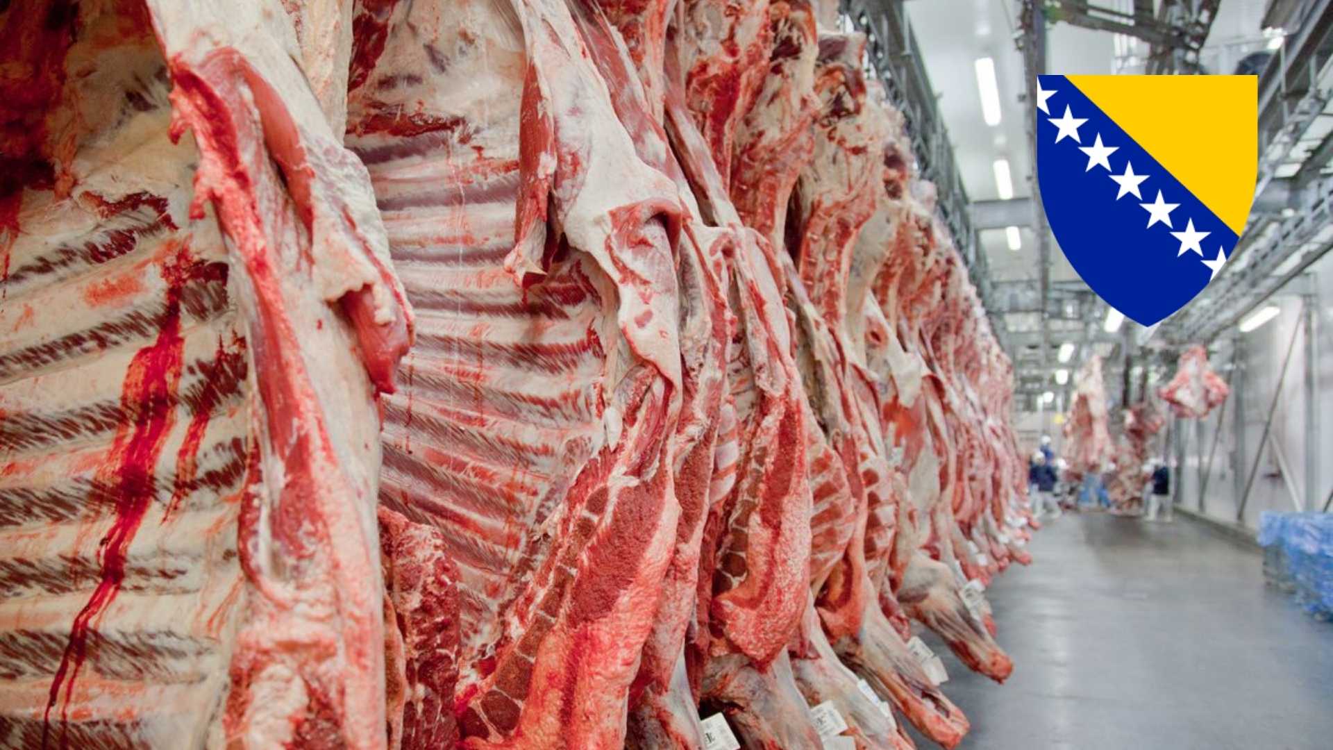 Carcaças de carne vermelha penduradas em um frigorífico com o brasão da Bósnia e Herzegovina ao fundo.
