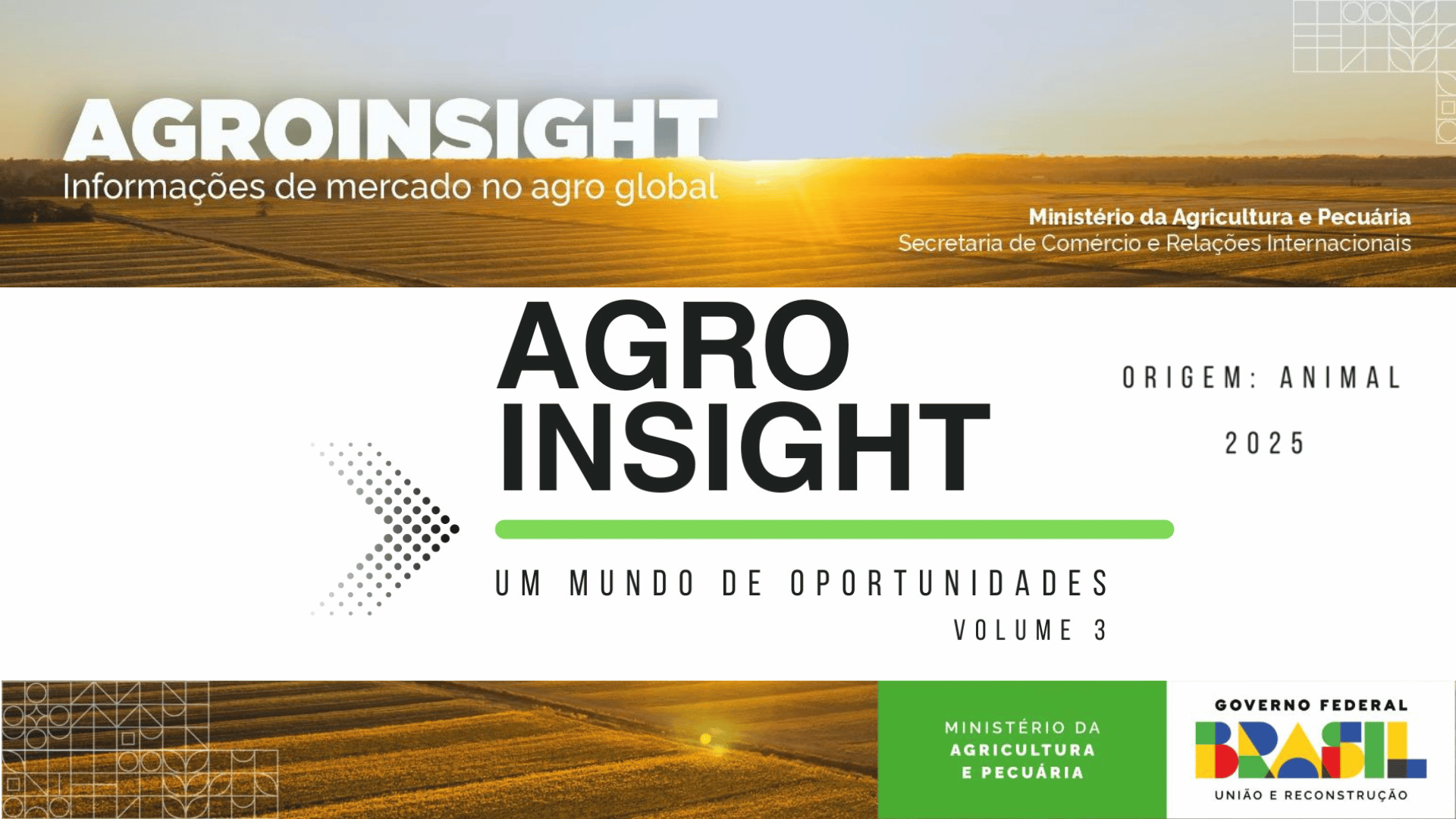 AGROINSIGHT Vol 3 Origem Animal