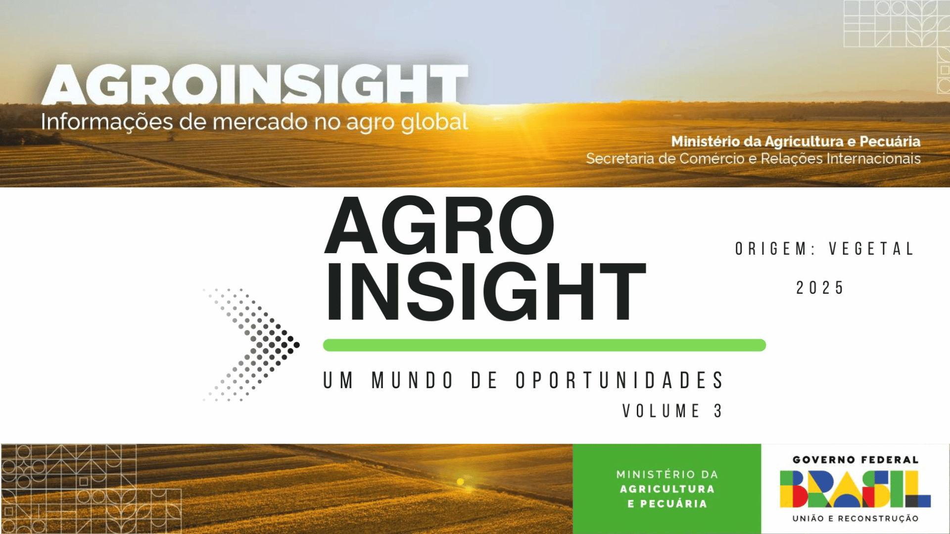 AGROINSIGHT Vol 3 Origem Vegetal