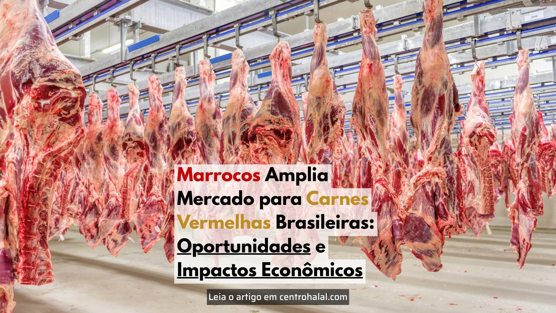 Marrocos Amplia Mercado para Carnes Vermelhas Brasileiras: Oportunidades e Impactos Econômicos