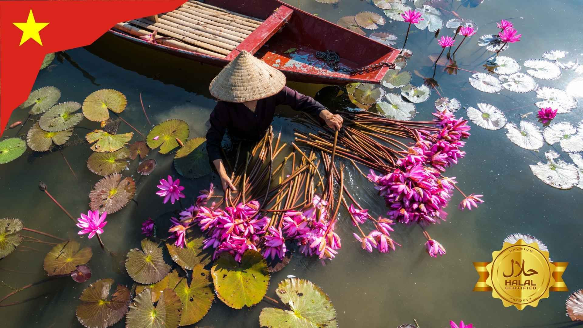 vietnam-expansao-mercado-halal-2025